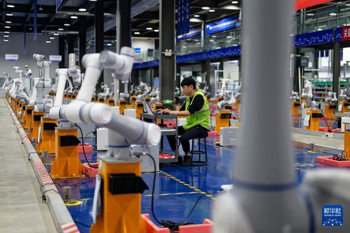 科技賦能引領高質量發展 山東日照的技術開發新路徑